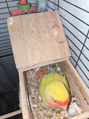 Gerrit zoekt een Appartement in Nijmegen