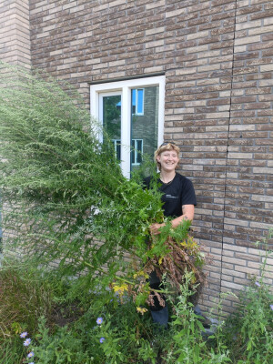 Anna zoekt een Appartement in Nijmegen