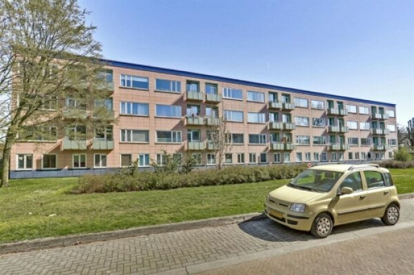 Ligusterstraat